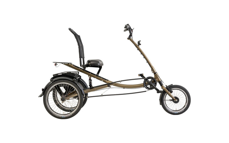 PFATEC Shopping Bike Scootertrike (#1)