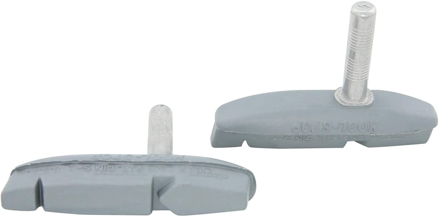 Bremsschuhe C2 Eagle2 Silber (2.)
