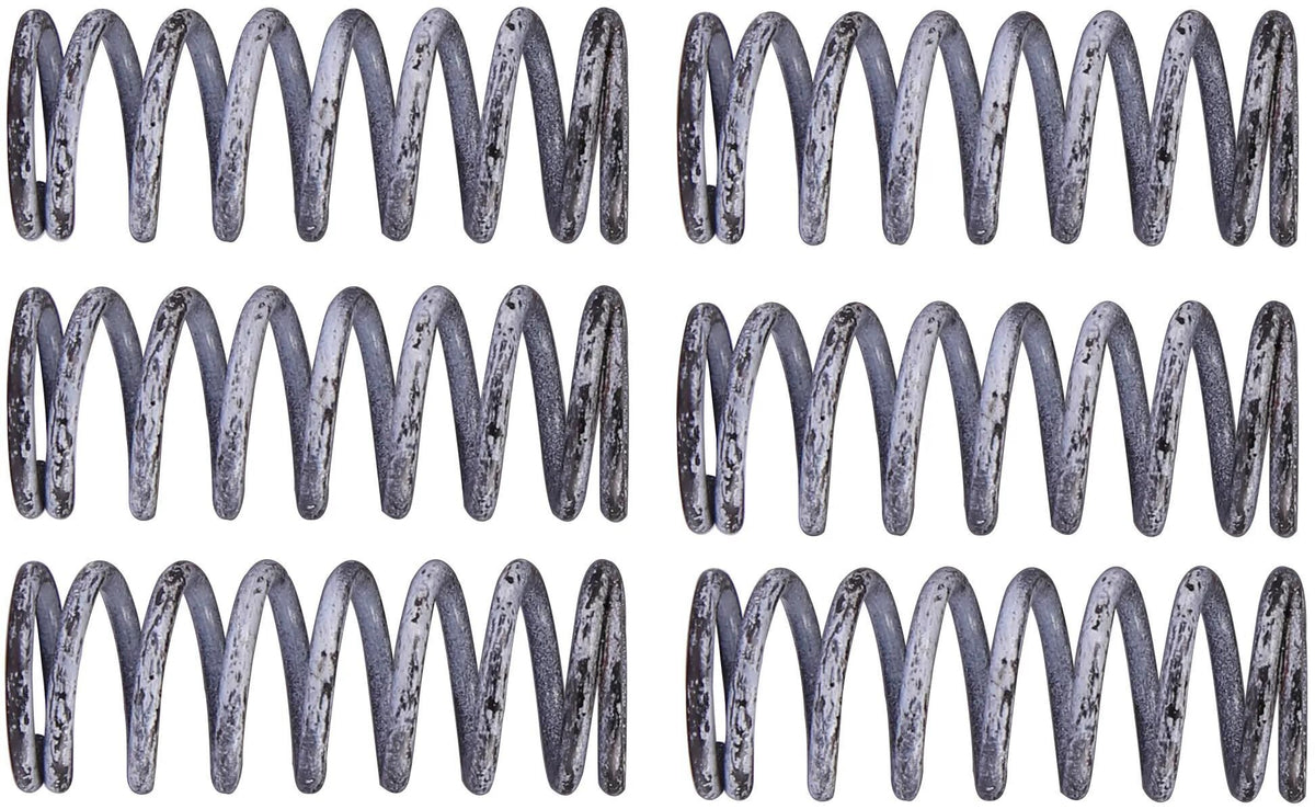 TRW Clutch Spring Kit MEF305-6