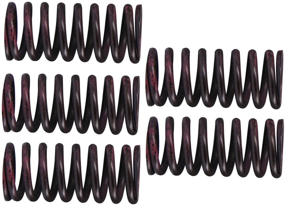 TRW Clutch Spring Kit MEF316-5