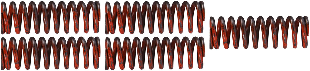 TRW Clutch Spring Kit MEF321-5