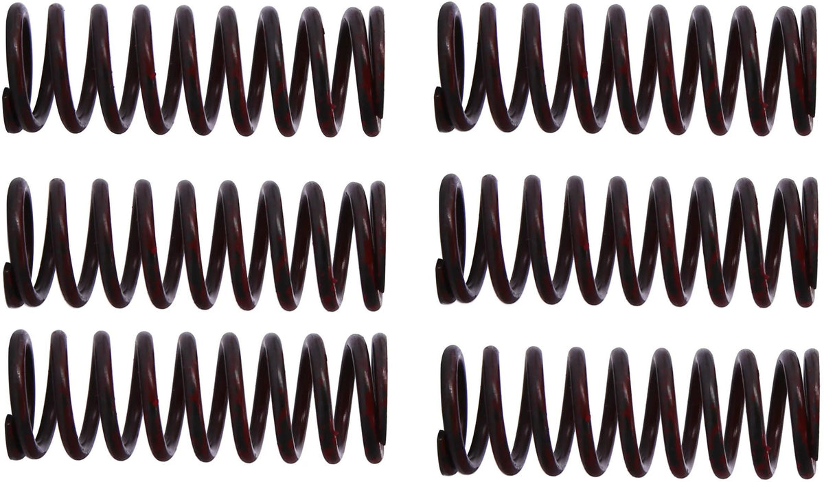 TRW Clutch Spring Kit MEF302-6