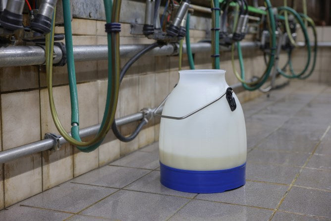 Kerbl Milcheimer halbtransparent blau 30 Liter