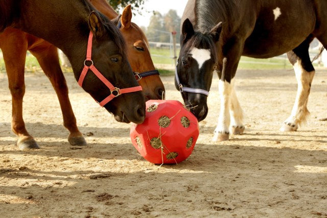 Roter Futterball