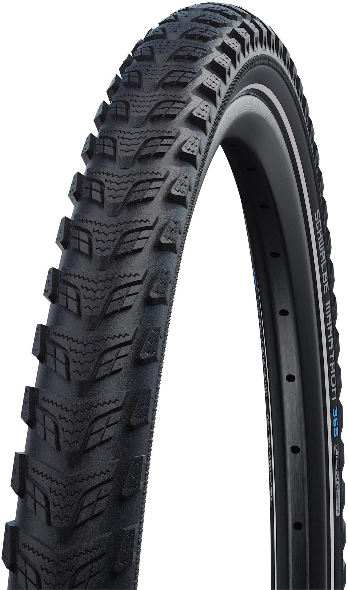 Schwalbe