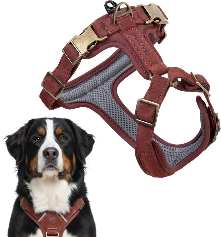 Peluvio Lord – Hundegeschirr aus Leder – Größe XL – ergonomisches Schutzgeschirr aus Naturleder – Komfortkontrolle – langlebige Kupferschnallen