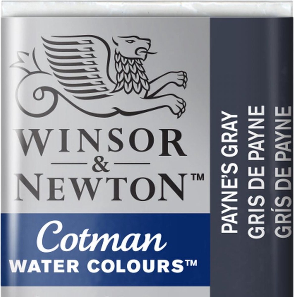 Winsor Newton 0301465 wasserbasierte Farbe, graue Stäbchen, 1 Stück