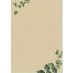 Sigel Designpapier A4 – mit Eukalyptusmotiv – zweiseitig – 100 Gramm – 100 Blatt – si-dp615