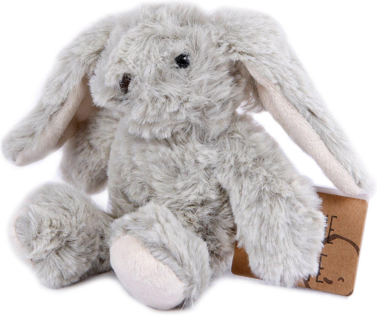 Nimm mich nach Hause Kaninchen Plüsch Umarmung Sitzen, 20 cm