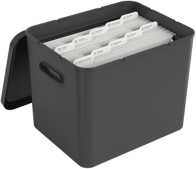 Rotho My Paper Archivbox A4, Dokumenten-Organizer mit Aufhängern, 40x29,2x29,8 cm, schwarz