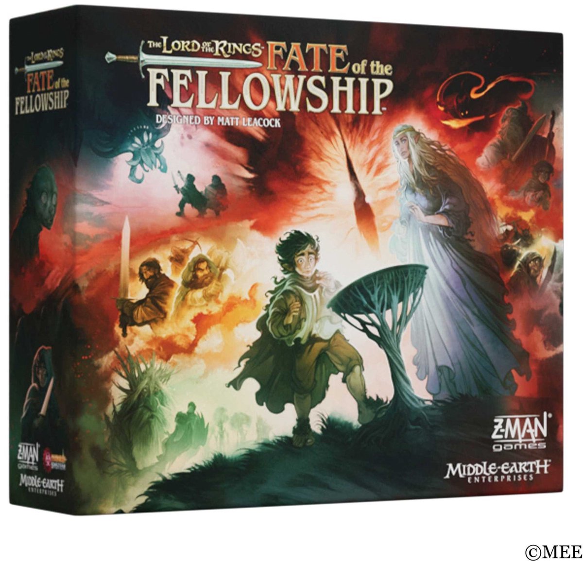 Asmodee, der Herr der Ringe: Schicksal der Gemeinschaft