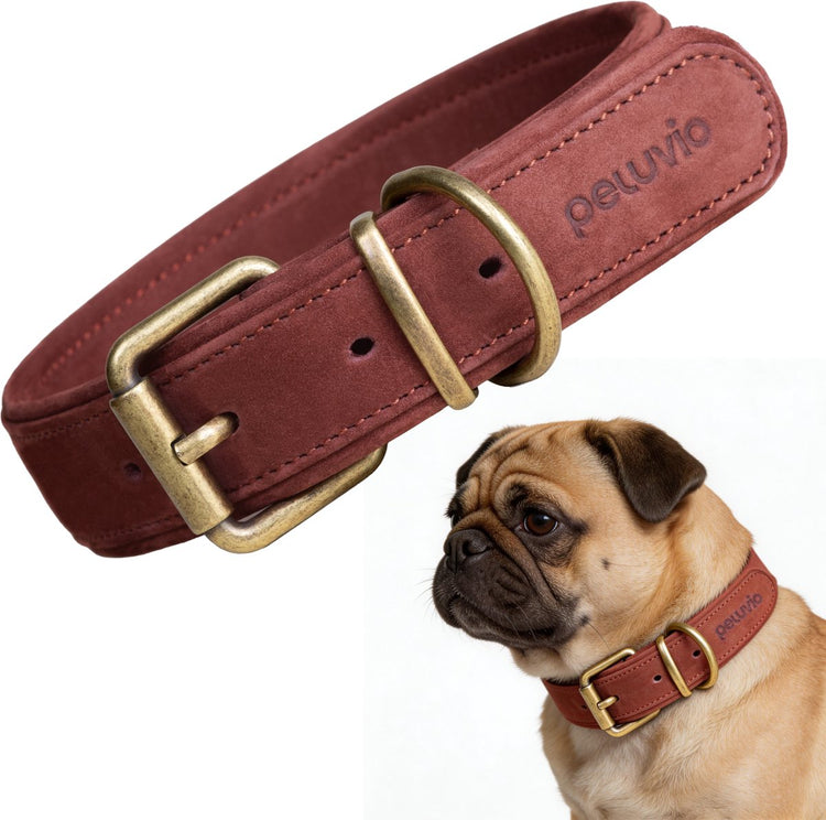 Peluvio Rexor – Hundehalsband aus Leder – braun – S 26,5–34 cm – 2,5 cm breit – verstellbares Halsband aus Rindsleder – Schnalle aus Kupfer – für kleine Hunde