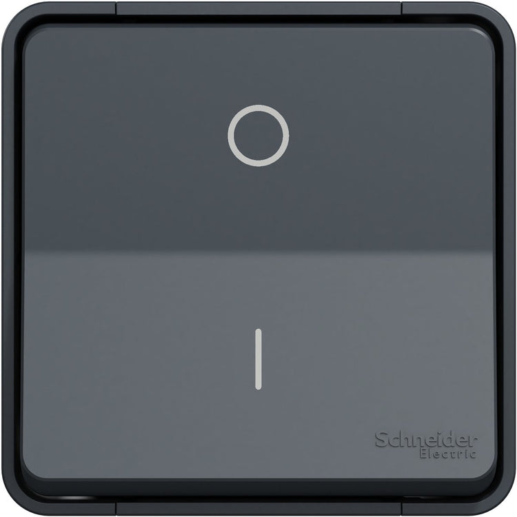 Schneider Electric Mureva Styl DIY – zweipoliger Schalter – Grau Anthrazit