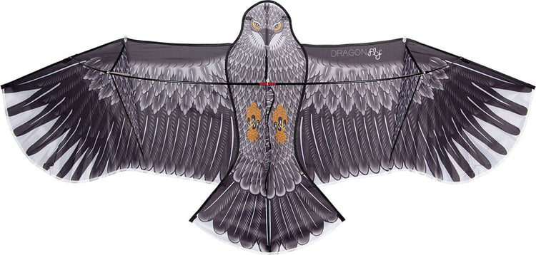 Drachenfliegendrachen - Adler - Schwarzgrau - 180 x 80 cm - ab 6 Jahren