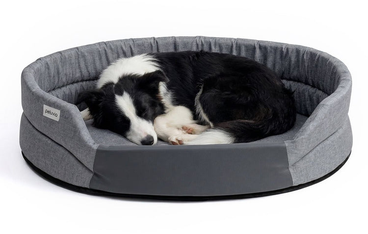 Peluvio arita – Hundebett wasserabweisend – Hundebett schmutzabweisend – Größe L – rutschfeste Unterseite – leicht, reisefreundlich – niedriger Einstieg ohne Kanten – langlebiger Schaumstoff – geruchsarm, leicht zu reinigen – Komfort für jeden Hund