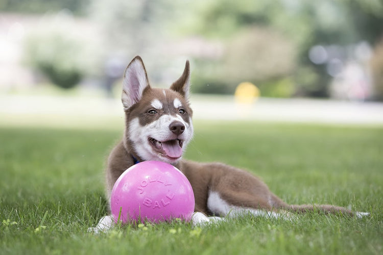 Jolly Pets Jolly Ball Bounce-n Play – ø 20 cm – Hundespielzeugball mit Kaugummiduft – der perfekte Hüpfball – bissfest – Pink