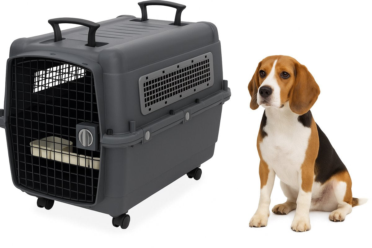 Flamingo Reisebox Hund – Autobox – Transportbox Hund L 80x56x65,5 cm – Transportkäfig Lanta dunkelgrau