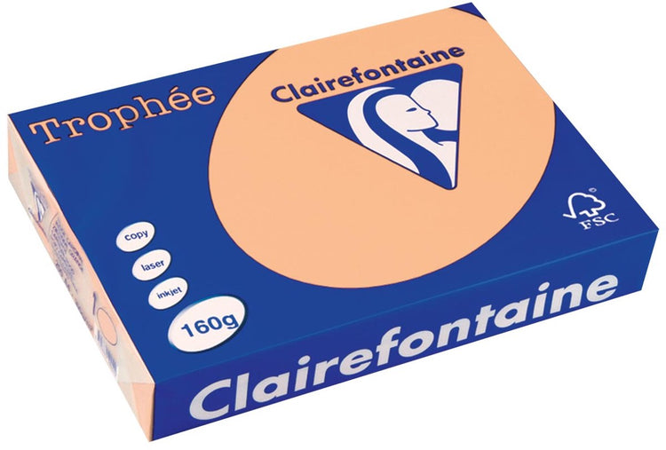 Clairefontaine A4 farbiges Papier lachsrosa 160 g m² 250 Blatt