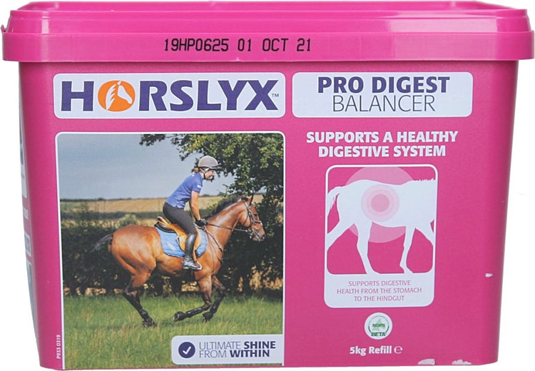 Horslyx Mini Pro Digest – 650 Gramm – lecken – zur Unterstützung der Aufrechterhaltung eines normalen Säuregehalts im Magen – für Pferde geeignet – Apfelgeschmack