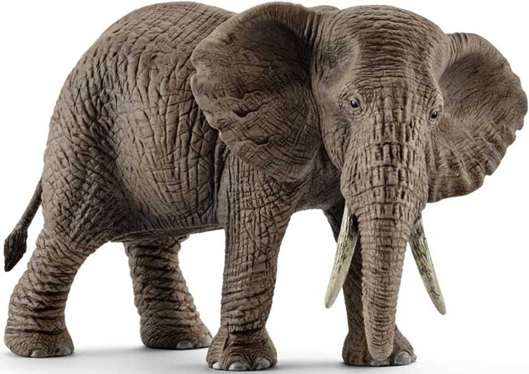 Schlich Wild Life African Elephant Frau 14761