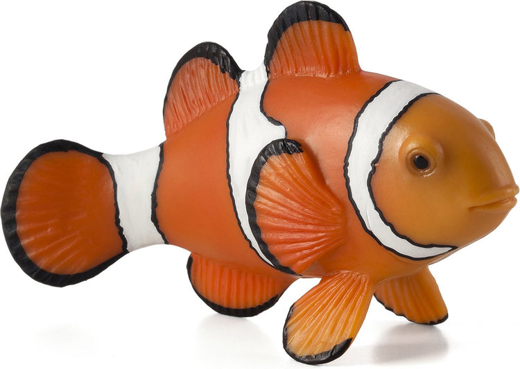 Mojo Ackerland Clownfish 387090