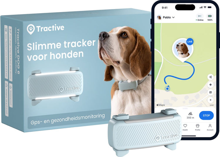 Tractive Dog 6 – GPS-Tracker für Hunde – Echtzeit-Standort, Aktivitätsmonitor wasserdicht – passend für die meisten Halsbänder – Münze