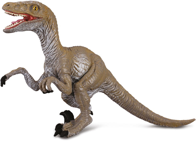 Collecta Figur - Velociraptor - (m) - Vorgeschichte - handbemalt - Dinosaurier - Miniatur