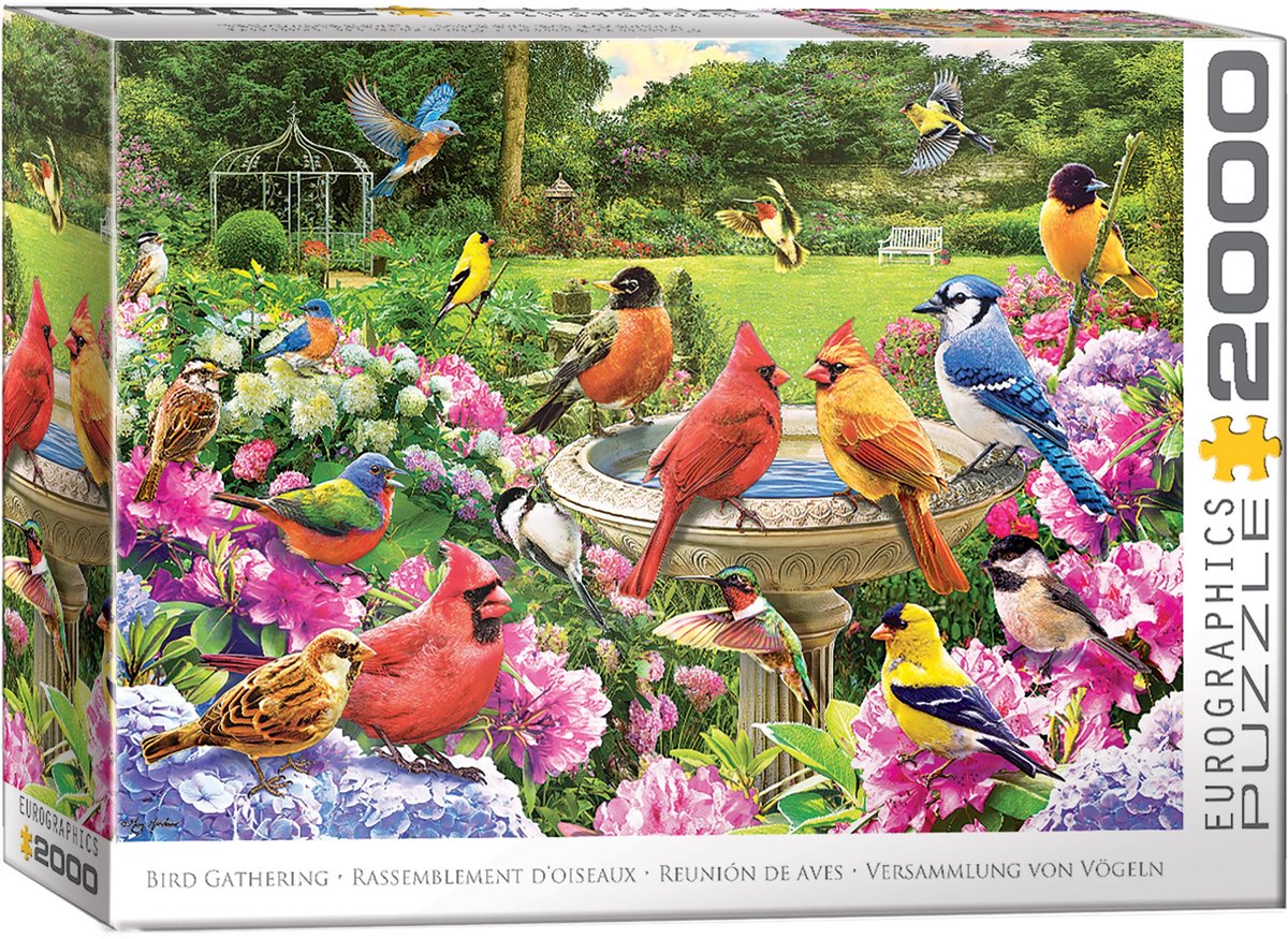 Eurographics Puzzle Vögel 2000 Teile – Puzzle Natur.