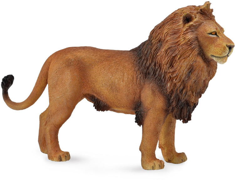 Collecta-Figur – Afrikanischer Löwe – (l) – wilde Tiere – handbemalt – Miniatur