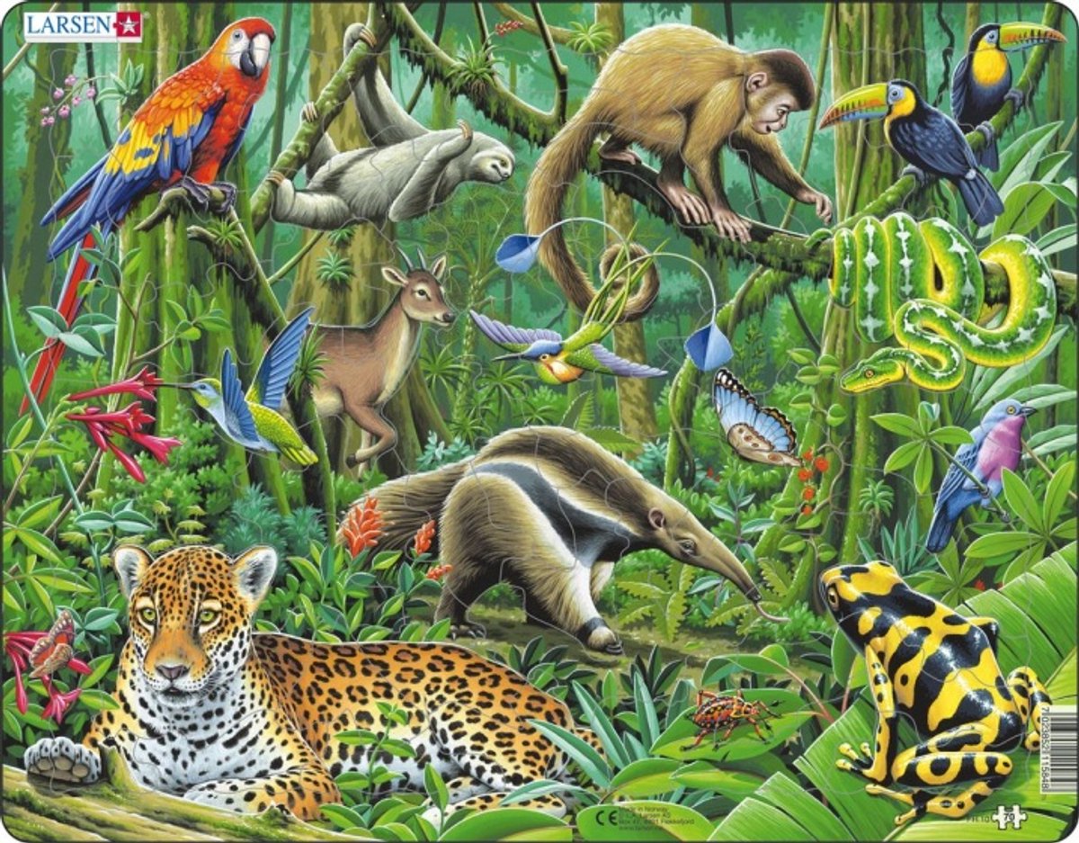 Selecta Larsen Line Puzzle Animals - Südamerikanischer Regenwald, 70..