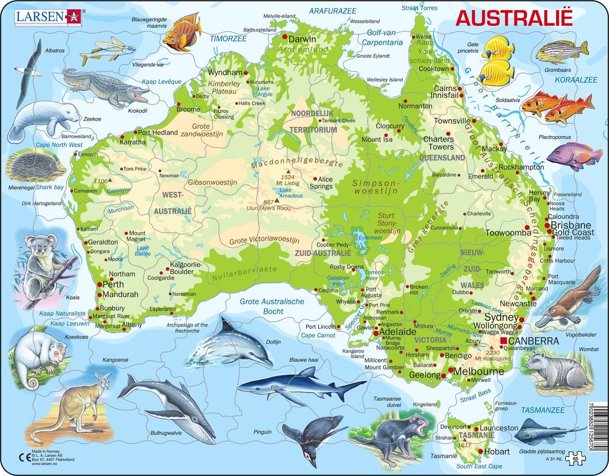 Selecta Larsen Pluzzle Karte Australien Geografisch mit Tieren, 65st.