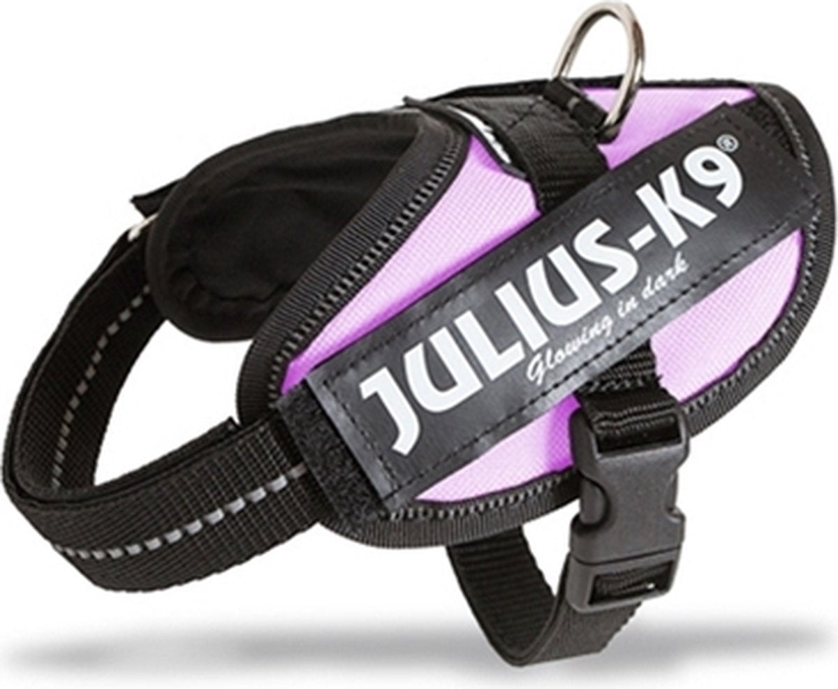 Julius k9