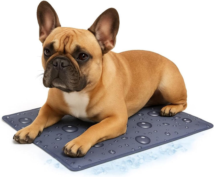 Flamingo Kühlmatte Hund – Kühlmatte Katze – S – 50x40 cm – Lakritzgrau – selbstkühlende Kühlmatte mit Gelfüllung – wasserdicht und faltbar