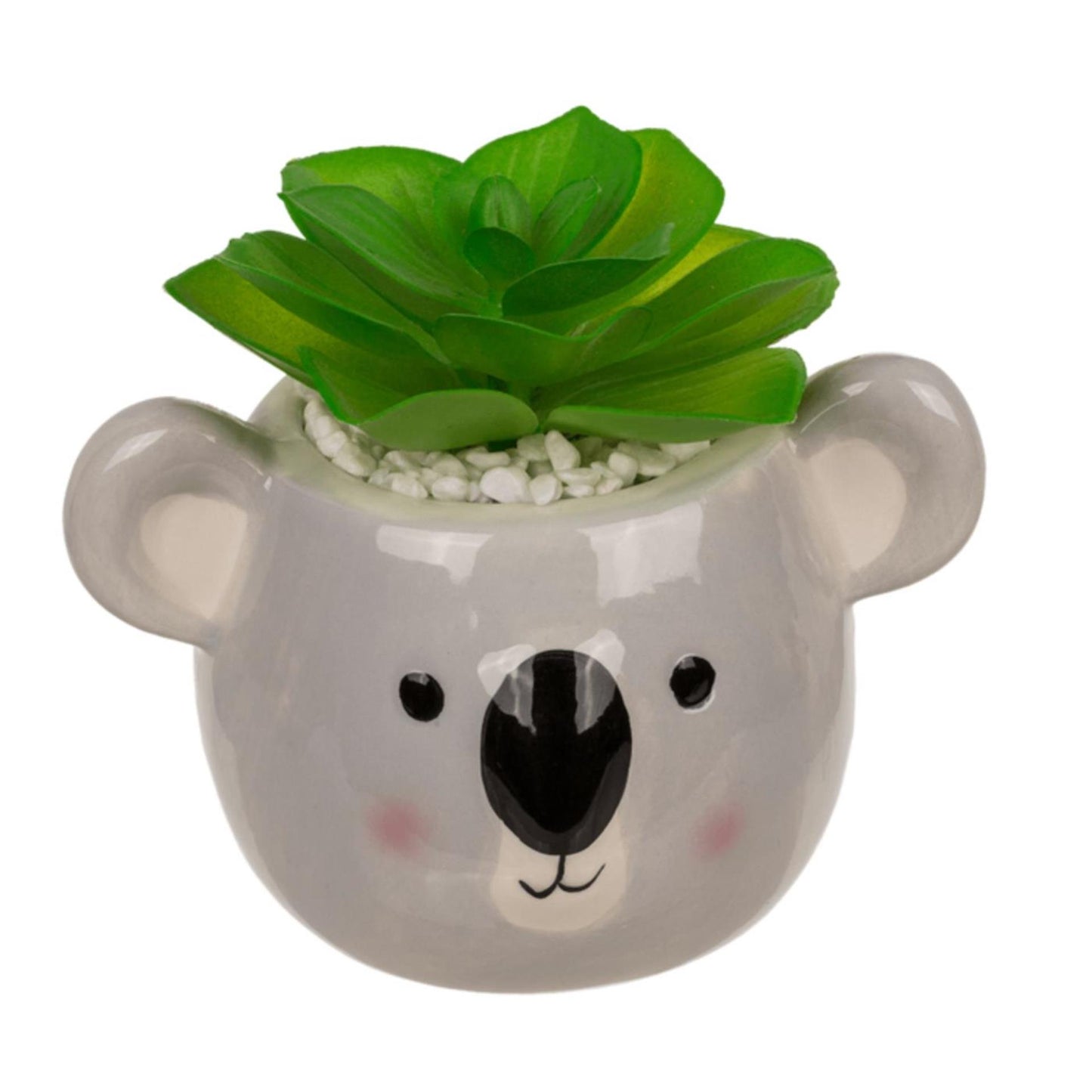 Ootb Sukkulente im Topf, Faultier oder Koala