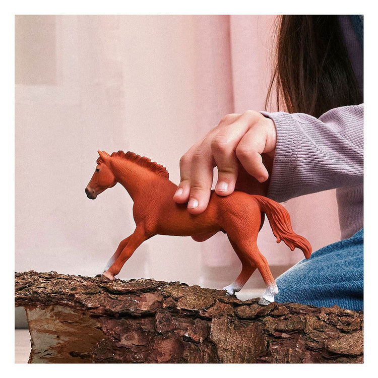 Schleich Horse Club Englischer Vollbluthengst 14915