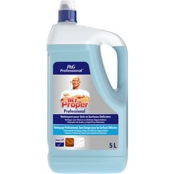 Allzweckreiniger Mr. Clean Professional 5