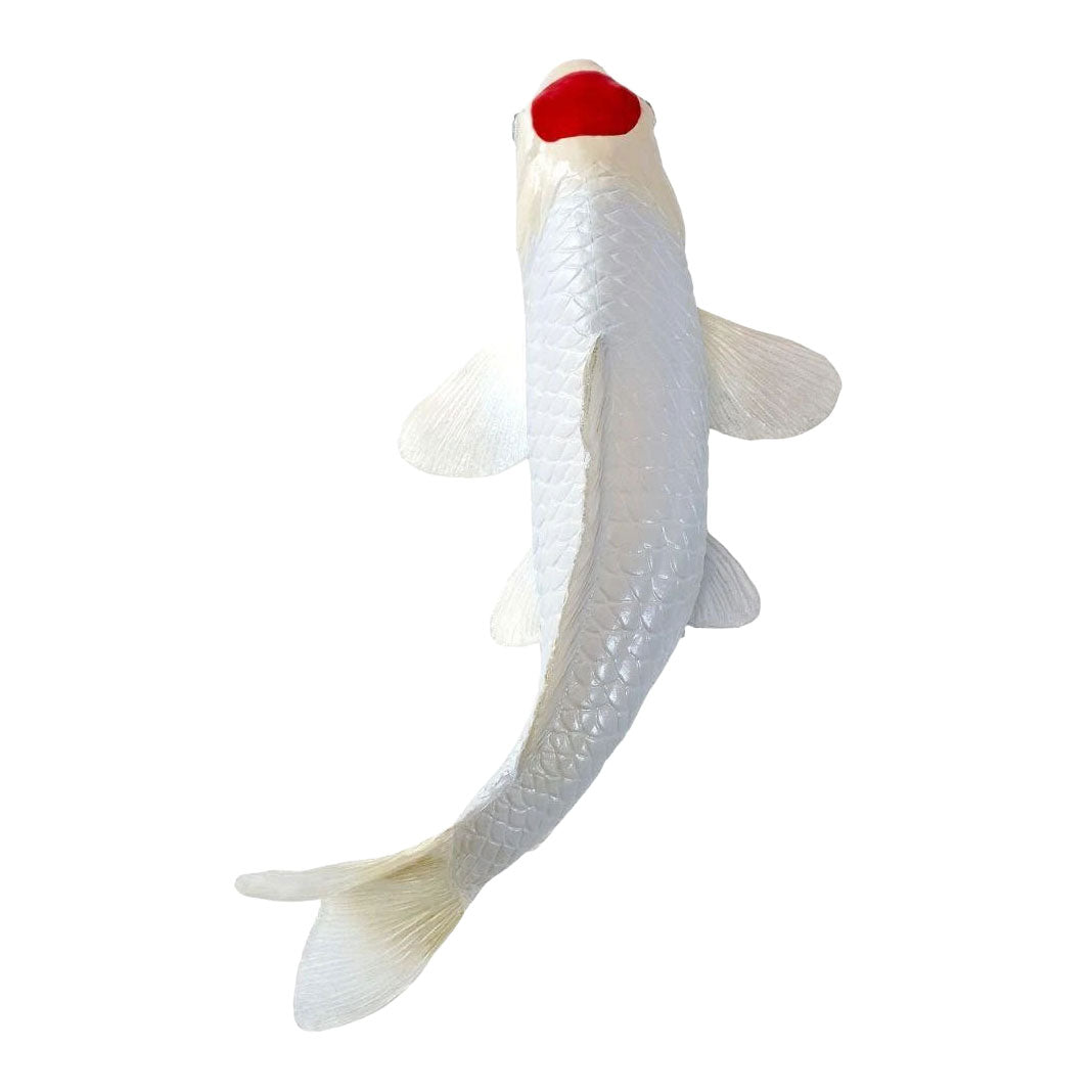 Mojo Koi-Kollektion – Tancho Koi Red Dots 381119