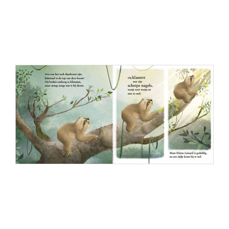 Bilderbuch: Kleines Faultier. 2+