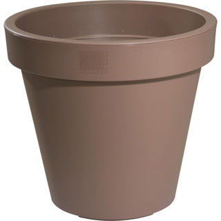 | 3 Stück