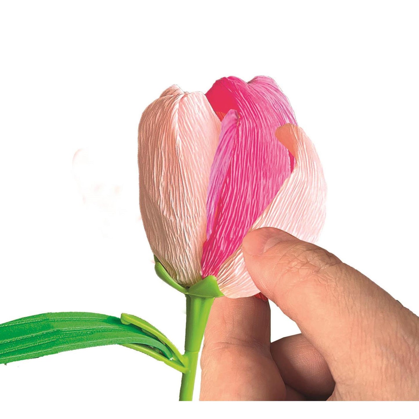 Clementoni Duftblumen machen Tulpe