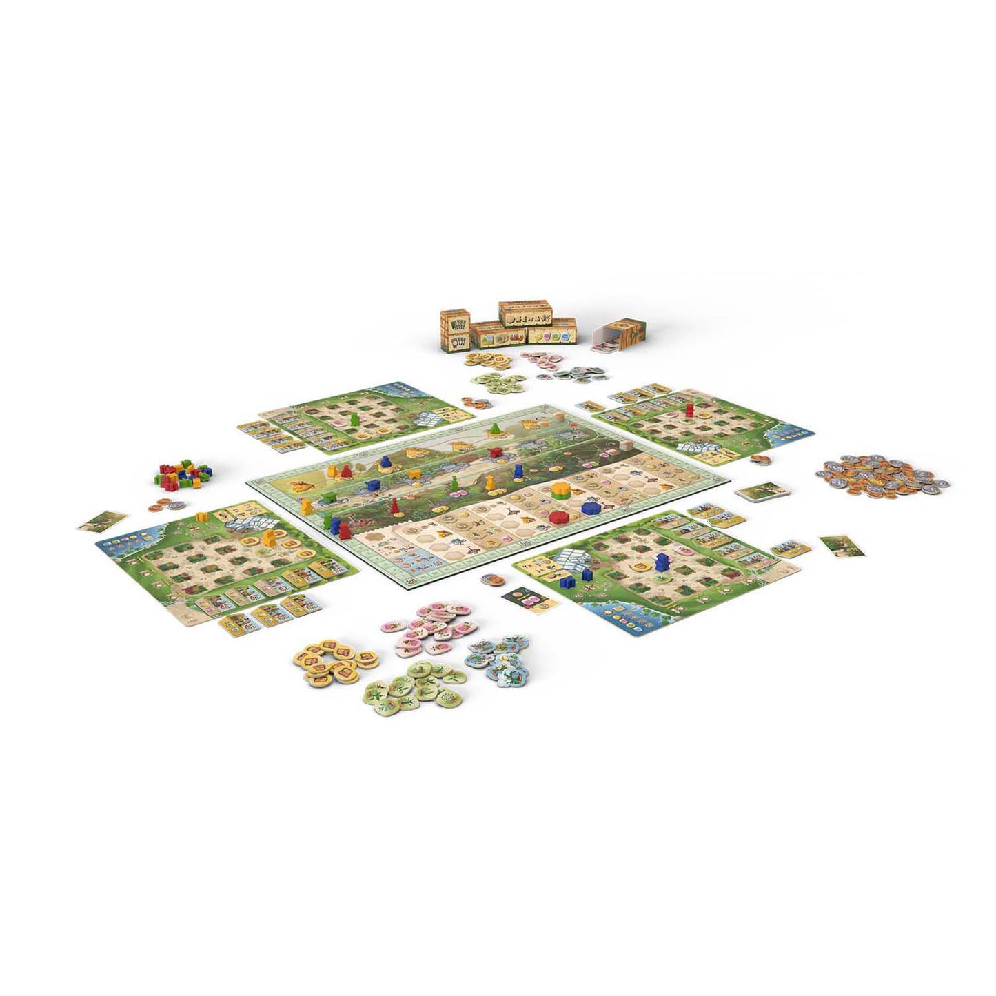 999games 999 Games Botaniker-Brettspiel