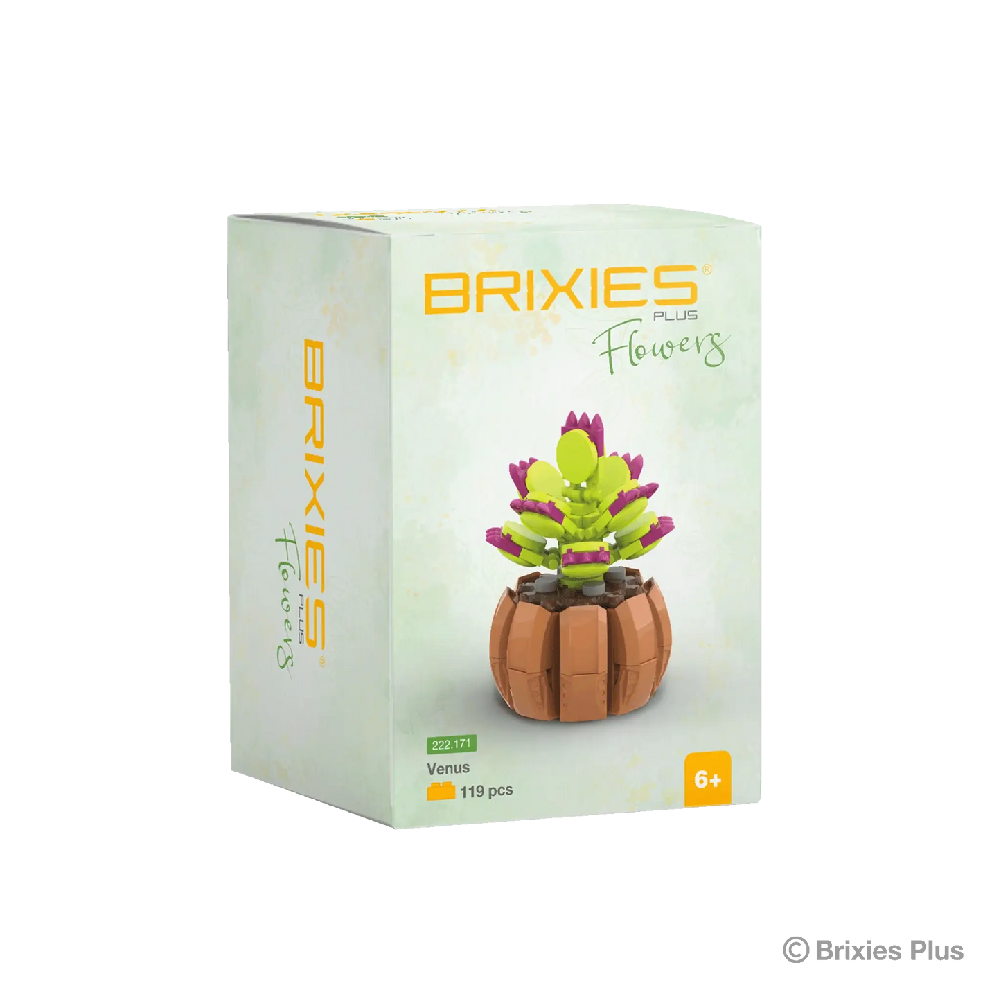 Oku Brixies plus Blumen-Venus-Bausteine, 119 Teile