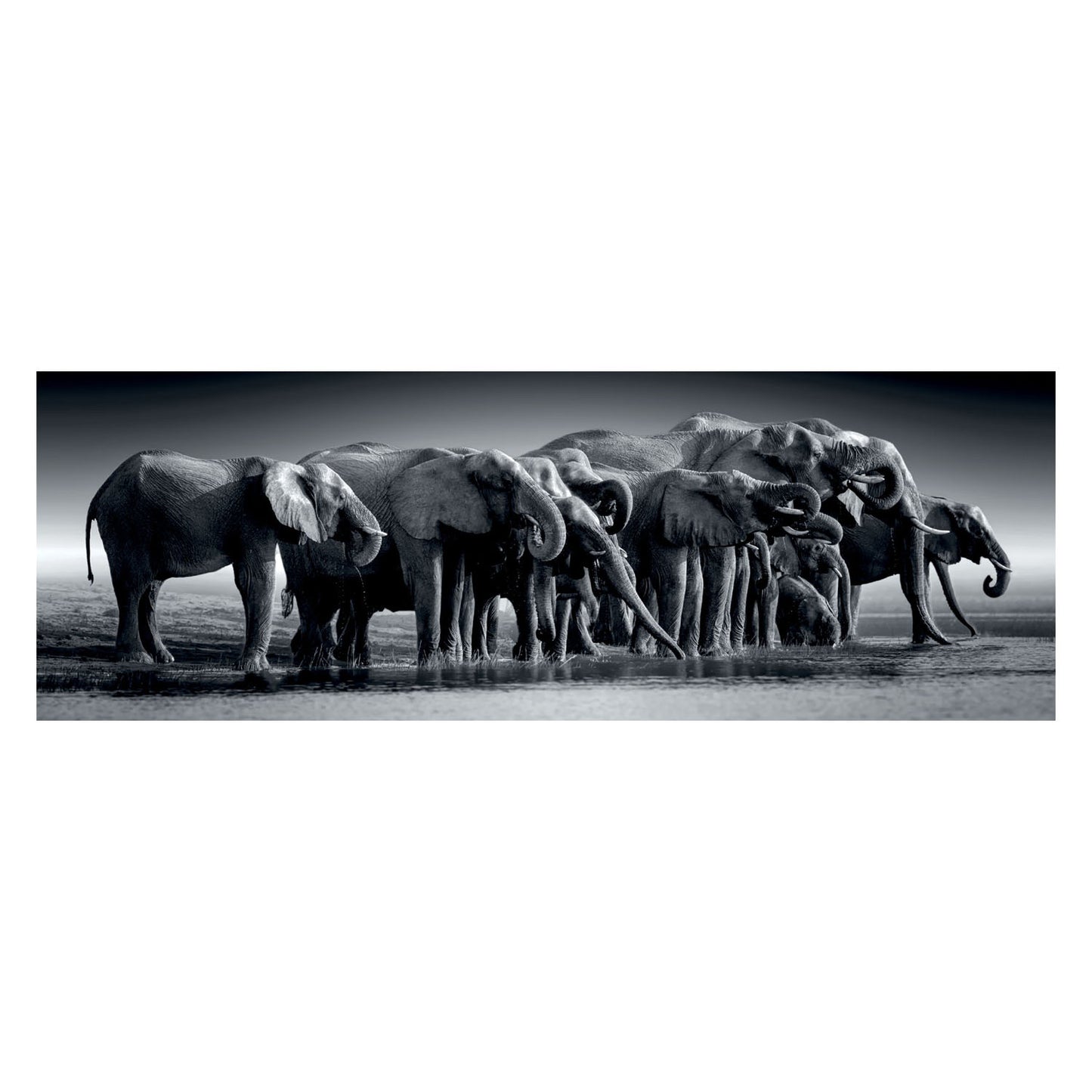 Clementoni Jigsaw Puzzle Panorama Herde oder Riesen, 1000st.
