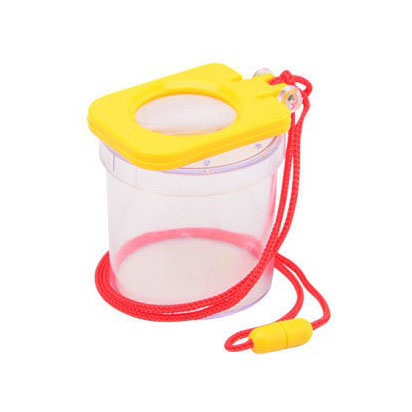 Johntoy Science Insect Pot