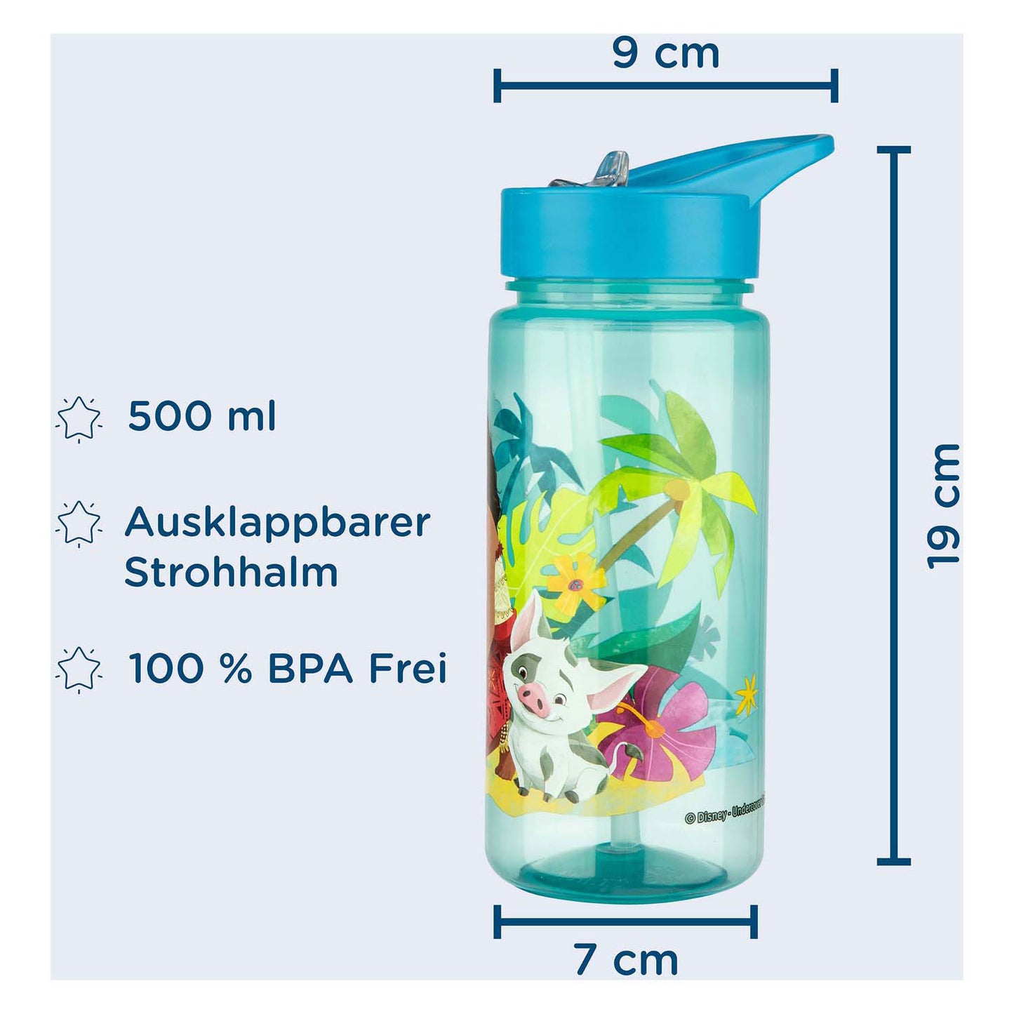 Trinkflasche Vaiana 2