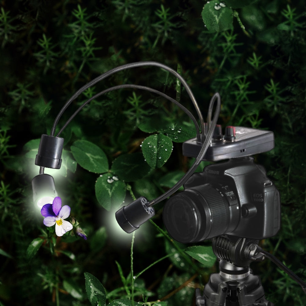 Falcon Eyes Makro-LED-Lampe DV-3B auf Batterie