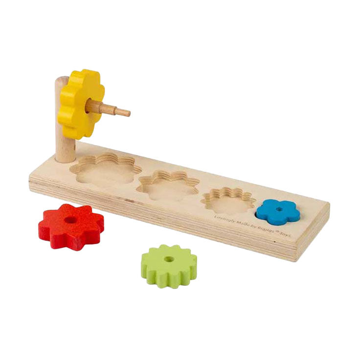 Bigjigs Blumensortierer, 5dlg.