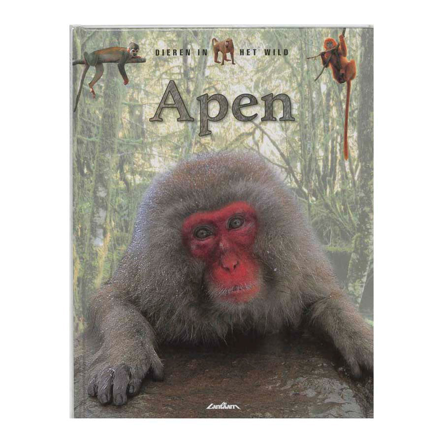 Laternenverleger Wildtiere – Affen