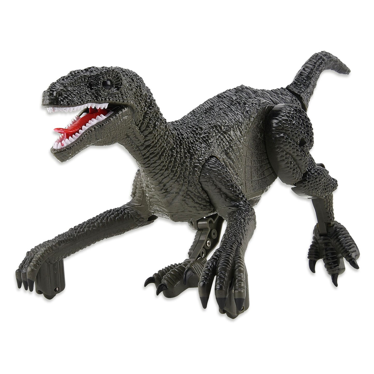Gear2play RC 2,4 GHz steuerbarer Dino-Raptor-Roboter