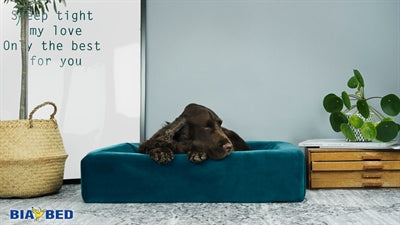 BIA -Bett Royal Velvet Hacken für Hundekorb Benzin